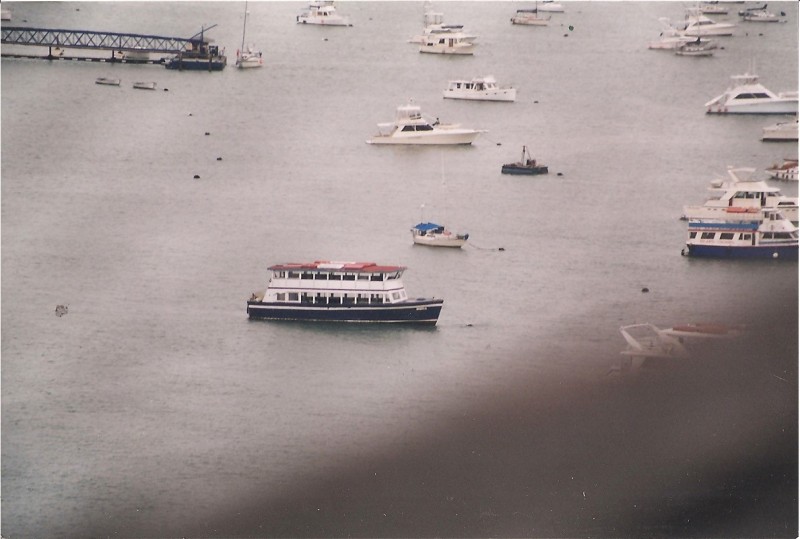 PTHIGGINSDONABALBOAYACHTCLUB1998.jpg